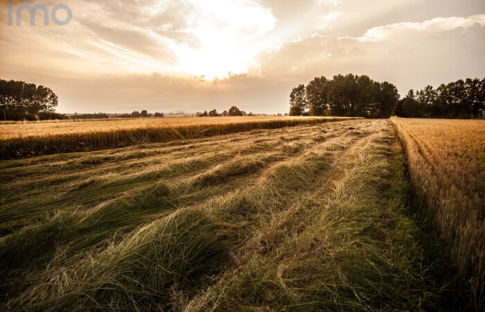 Wałbrzych, dolnośląskie, Działka na sprzedaż